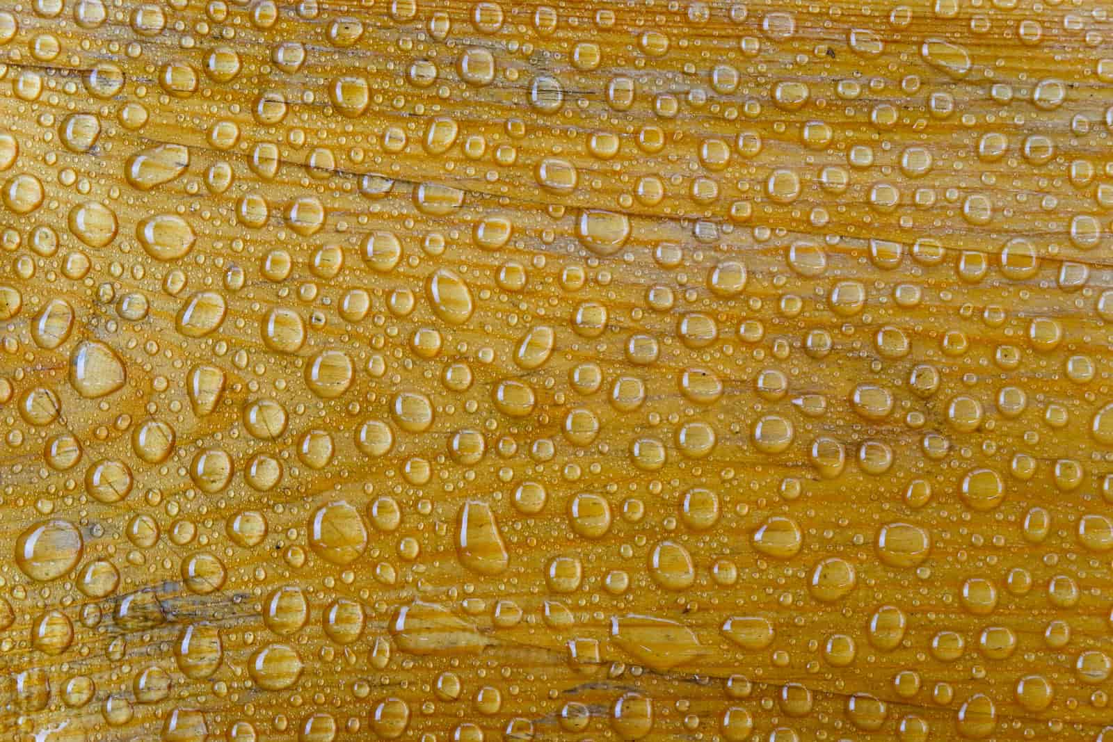 Water beading on the surface of a treated boot